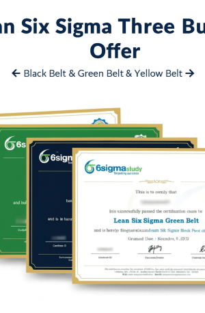 Combined Six Sigma Yellow, Lean Six Sigma Green & Black Belt Online Course (3-in-1 Bundle)