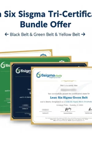 Combined Six Sigma Yellow, Lean Six Sigma Green & Black Belt Online Course (3-in-1 Bundle)