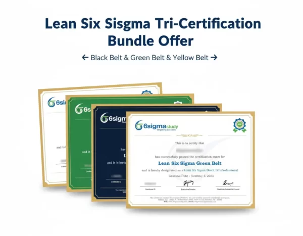 Combined Six Sigma Yellow, Lean Six Sigma Green & Black Belt Online Course (3-in-1 Bundle)