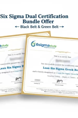 Combined Lean Six Sigma Green and Black Belt Online Course