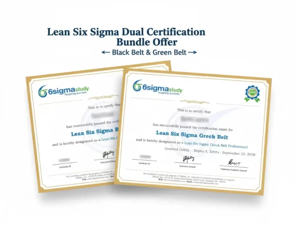 Combined Lean Six Sigma Green and Black Belt Online Course